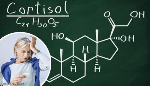 Cortisol, um dos hormônios do estresse