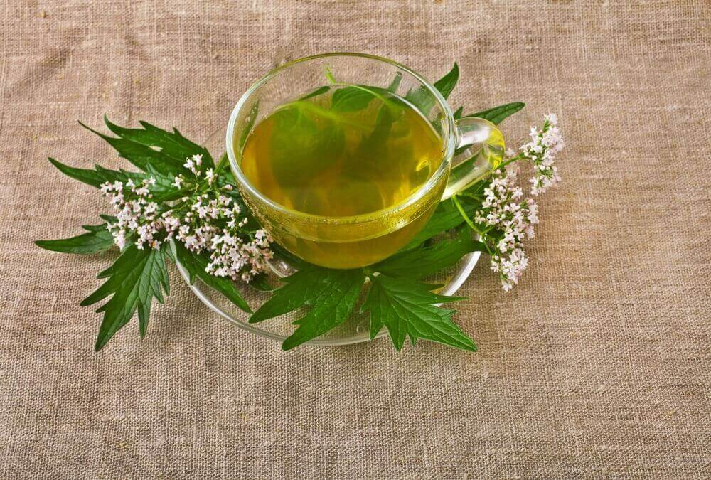 Infusão de valeriana