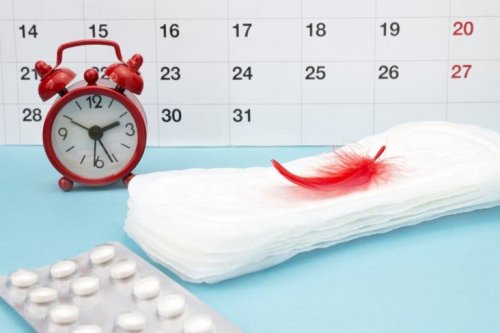 Ciclo menstrual
