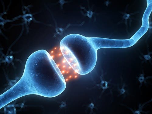 Ligações entre neurônios