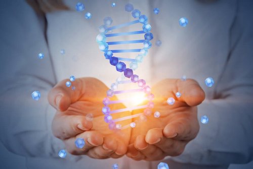 O projeto genoma humano