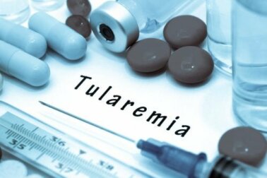 Tularemia: sintomas e causas