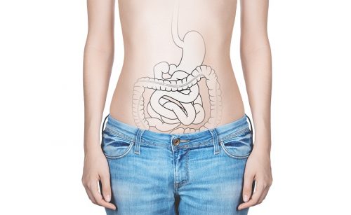 A egestão faz parte do processo digestivo