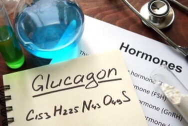 Glucagon: o que é e para que serve?