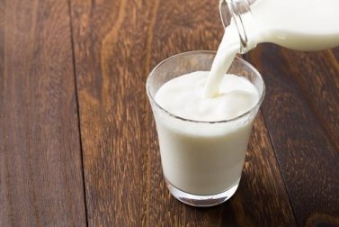 Você conhece a diferença entre alergia ao leite e intolerância à lactose?