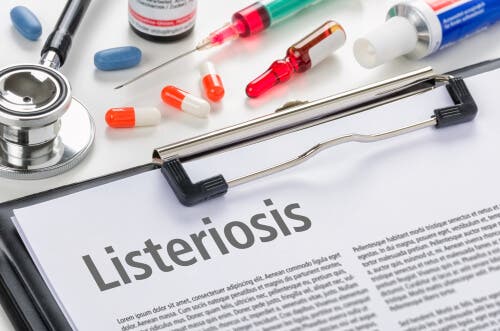 Listeriose: como é transmitida e como preveni-la?