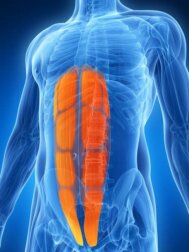 O que é uma lesão abdominal lateral?