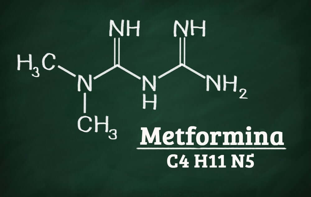 Metmorfina