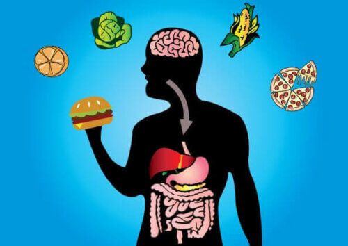 Otimizar o metabolismo