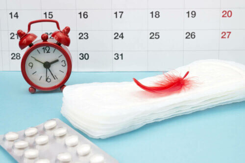 Ciclo menstrual