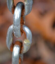 Você sabe o que é a resiliência?