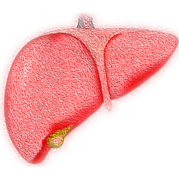 Dia Mundial da Hepatite: todas podem ser prevenidas