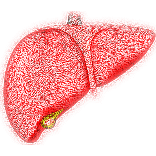 Dia Mundial da Hepatite: todas podem ser prevenidas
