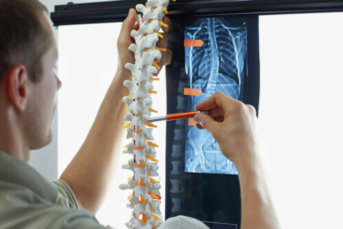 Exame da coluna vertebral