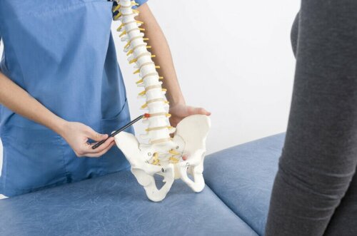 Coluna vertebral