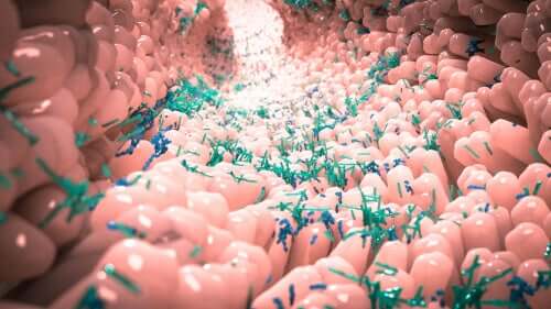 O que é a microbiota normal?