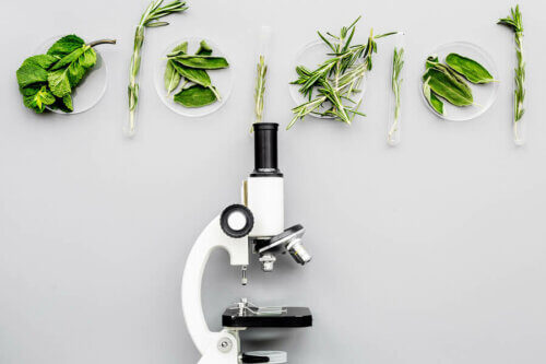 Alimentos feitos em laboratório