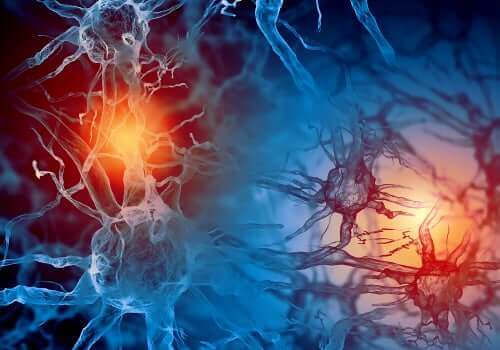 Ligações neuronais