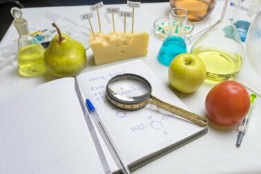 O que são os alimentos transgênicos e quais são os seus benefícios?