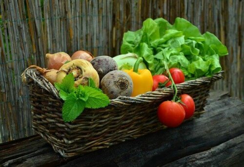 Dieta para pessoas com câncer