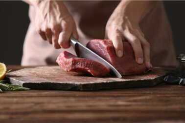 O que caracteriza a dieta carnívora?