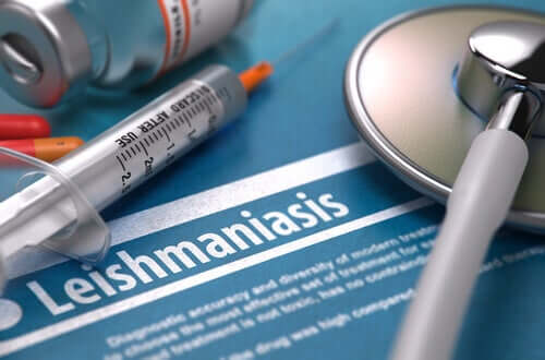 A leishmaniose é contagiosa?