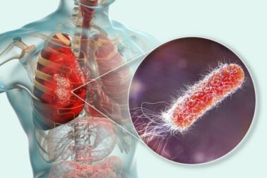 Existem bactérias nos pulmões?
