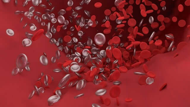 Células no sangue