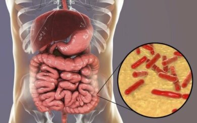 Como saber se a flora intestinal está danificada?