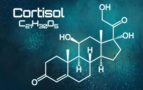 Excesso de cortisol: tudo que você precisa saber