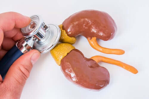 Glândulas suprarrenais