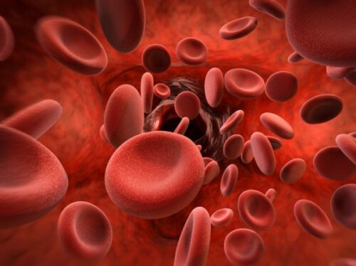 Glóbulos vermelhos no sangue