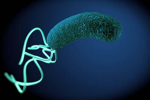 Bactéria vista de perto