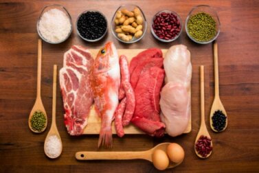 Qual é a função das proteínas no corpo?