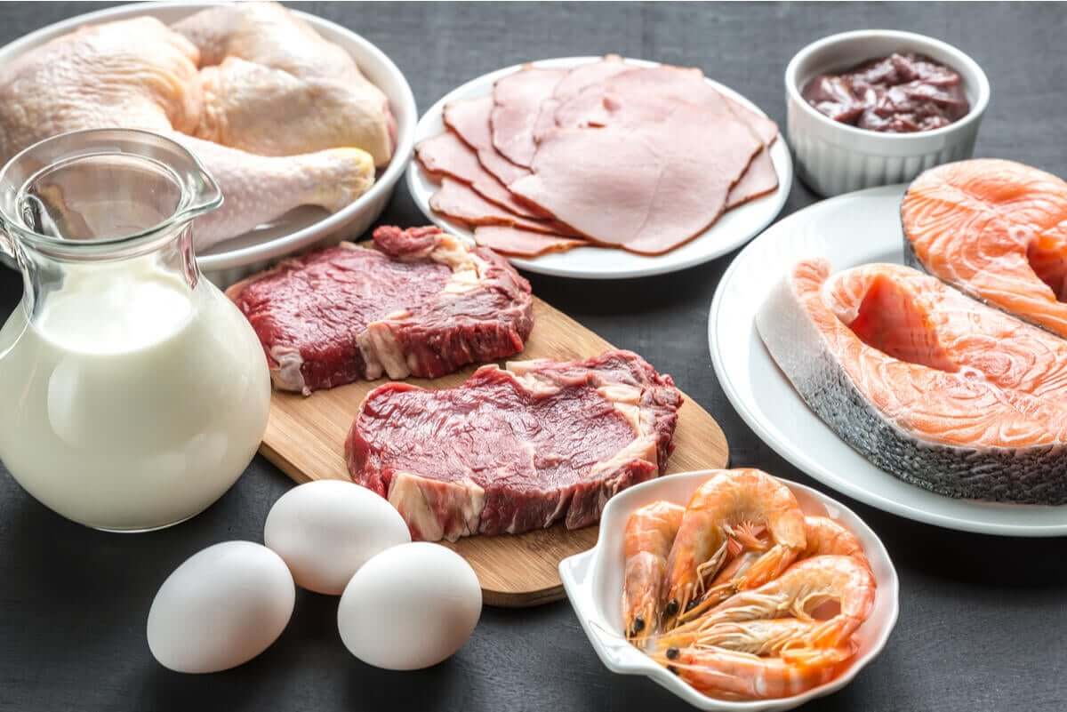 Fontes de proteína animal