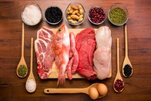 Qual é a função das proteínas no corpo?
