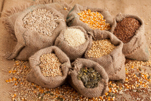 Tipos de sementes na dieta