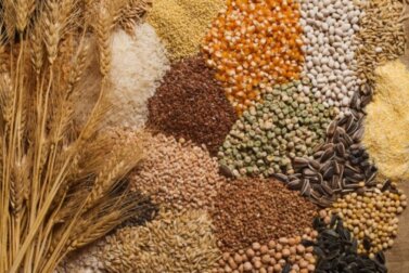 3 dicas para incluir sementes na dieta