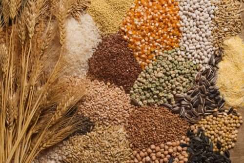 3 dicas para incluir sementes na dieta