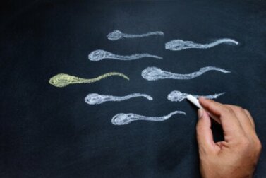 6 maneiras de aumentar a testosterona
