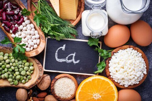 Alimentos ricos em cálcio
