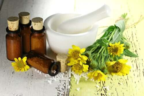 Arnica: benefícios, usos e contraindicações