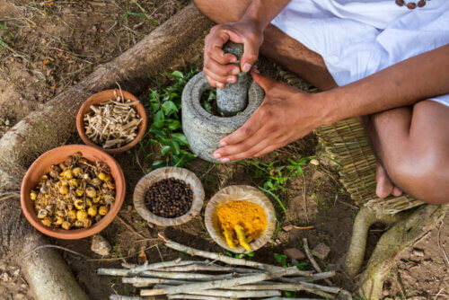 Alimentação ayurvédica