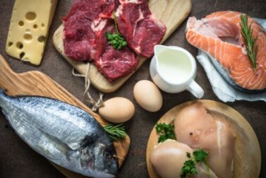 O que são as proteínas e quais são as suas funções?