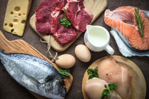 O que são as proteínas e quais são as suas funções?