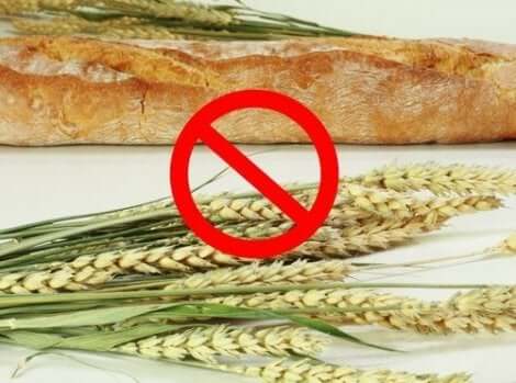 Alimentos sem glúten