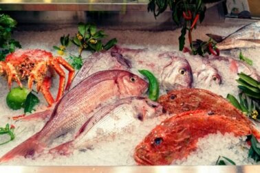 Peixes que devemos evitar