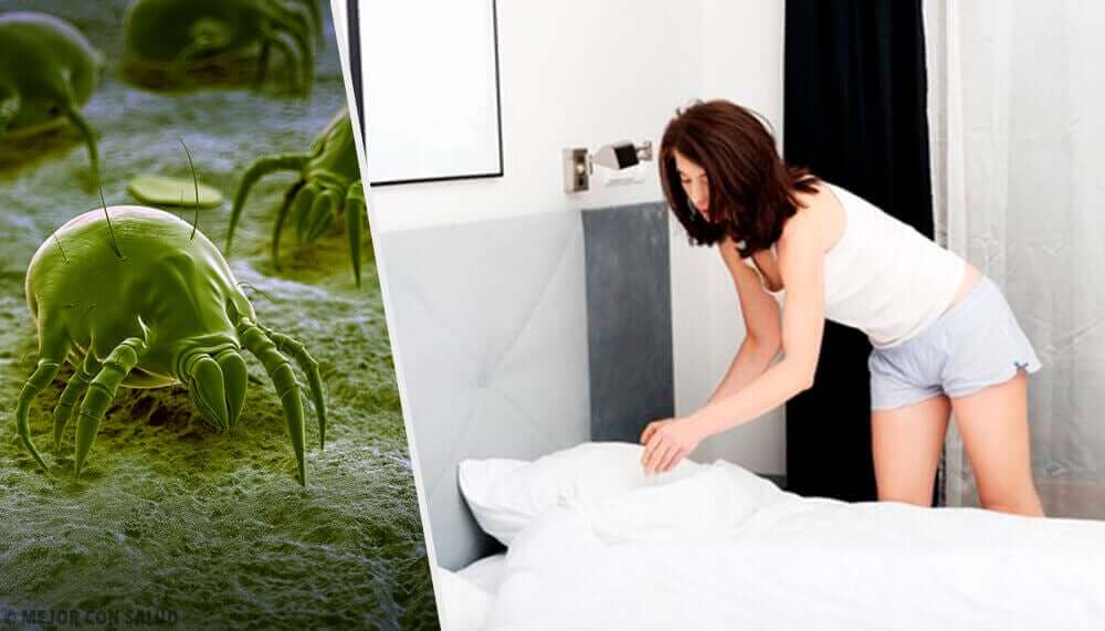 Ácaros nos travesseiros