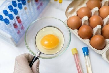 Prevenção da salmonelose