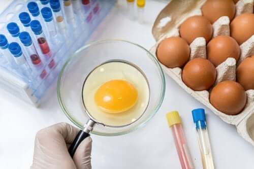 Prevenção da salmonelose